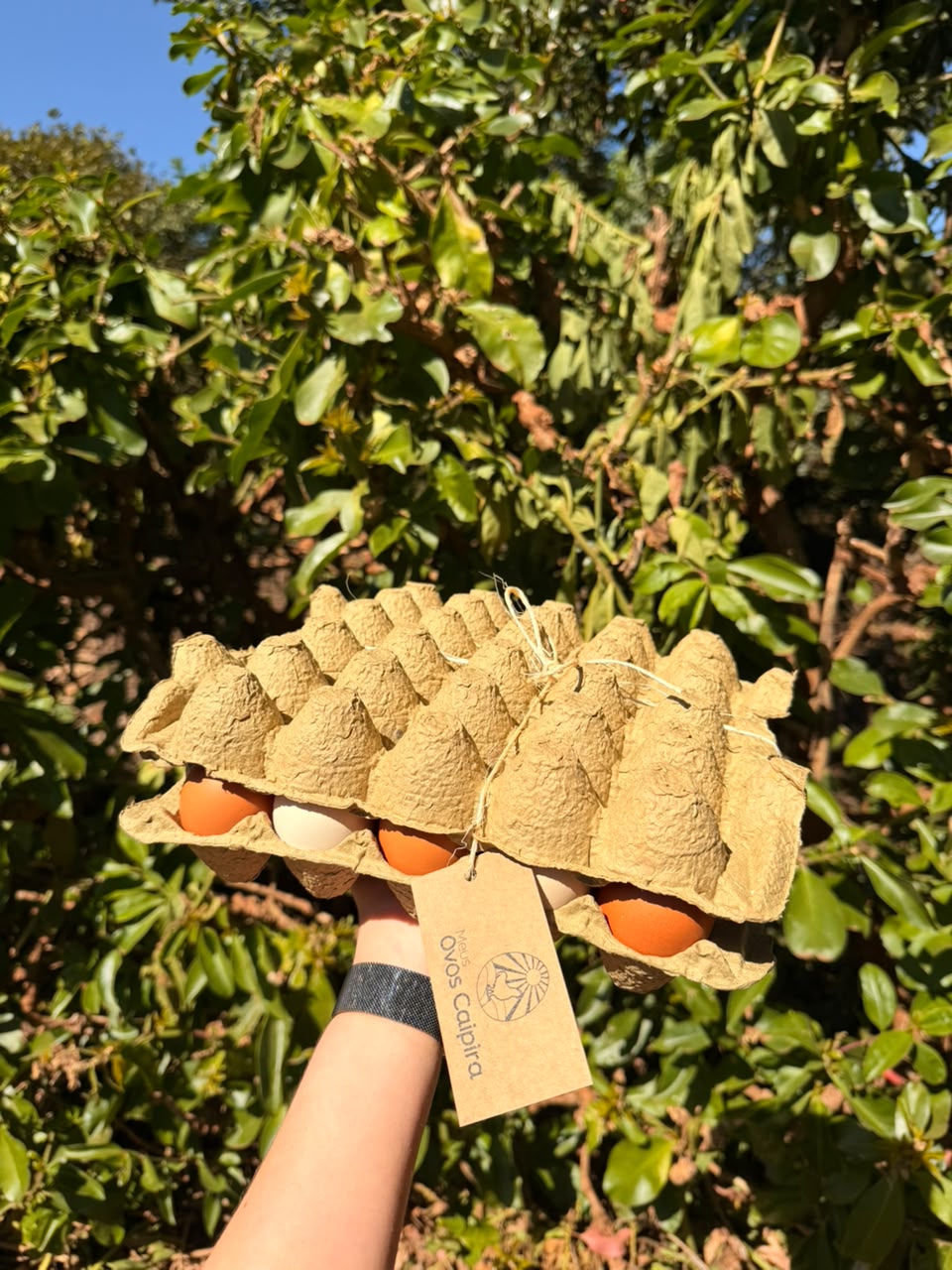 Cartela de ovos caipira fechada com cordinha de sisal e etiqueta da marca, segurada na mão contra a folhagem